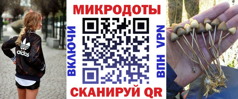 наркошоп  Ува  Галлюциногенные грибы Cubensis 